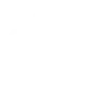 新西兰 vs 埃及